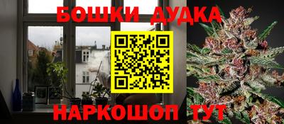 индика Кимры