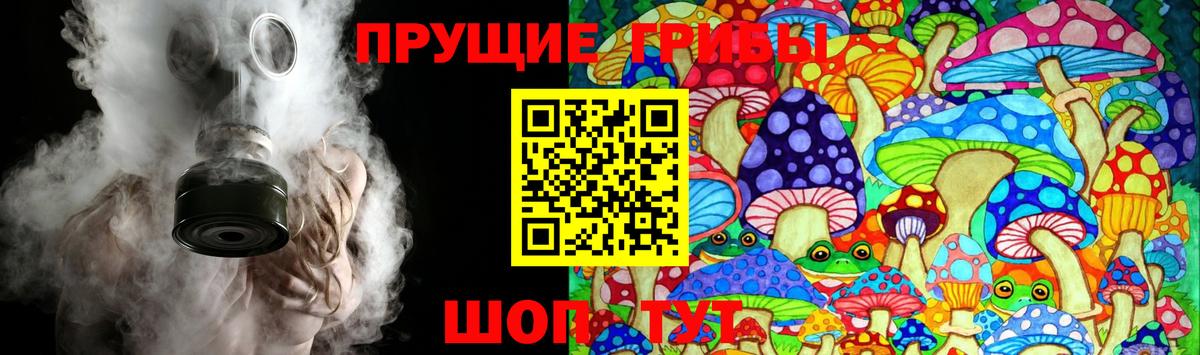 Псилоцибиновые грибы мицелий  Вход с VPN  Кстово 